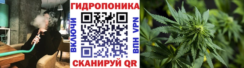 Марихуана AK-47  купить наркоту  Задонск 